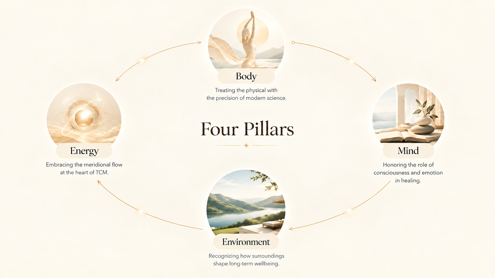 Four pillars of integrative care: body, mind, energy and environment